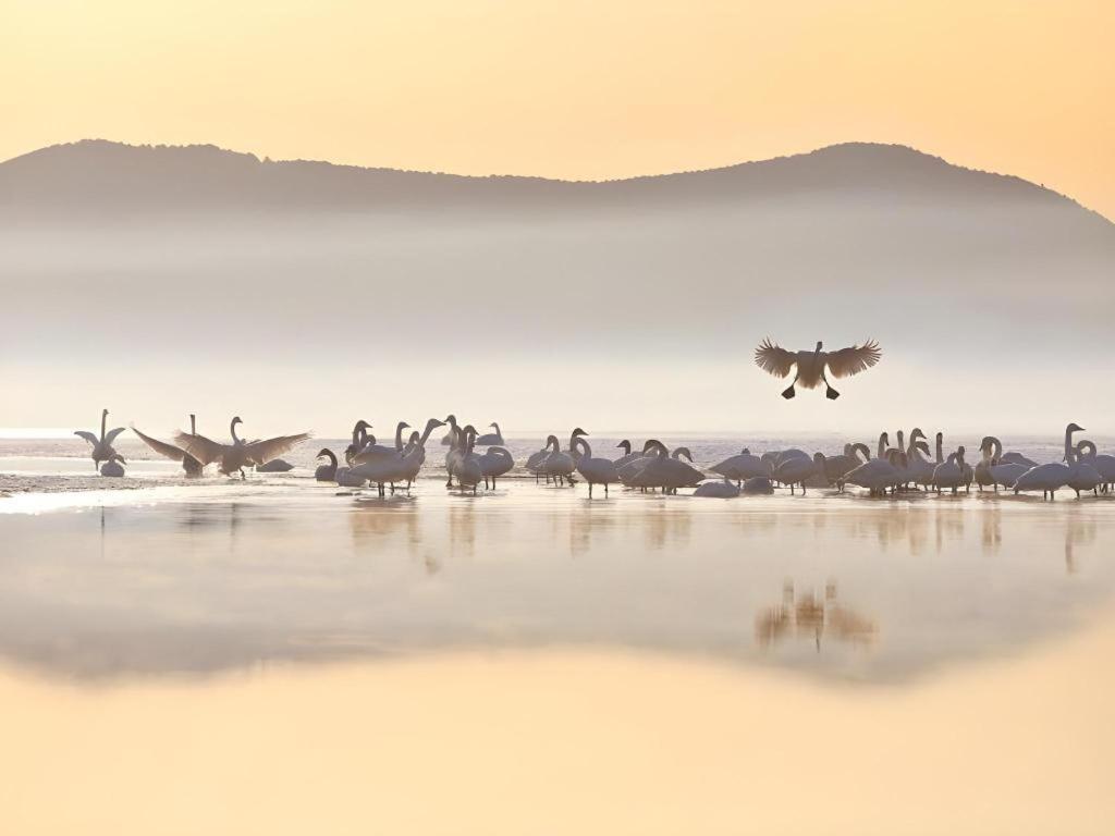 Greentree Inn Weihai Rongcheng Haoyunjiao Tourist Resort Zewnętrze zdjęcie